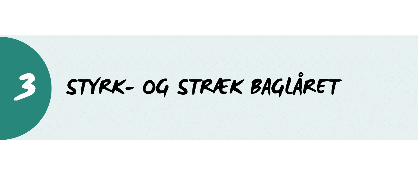 styrk og stræk baglåret